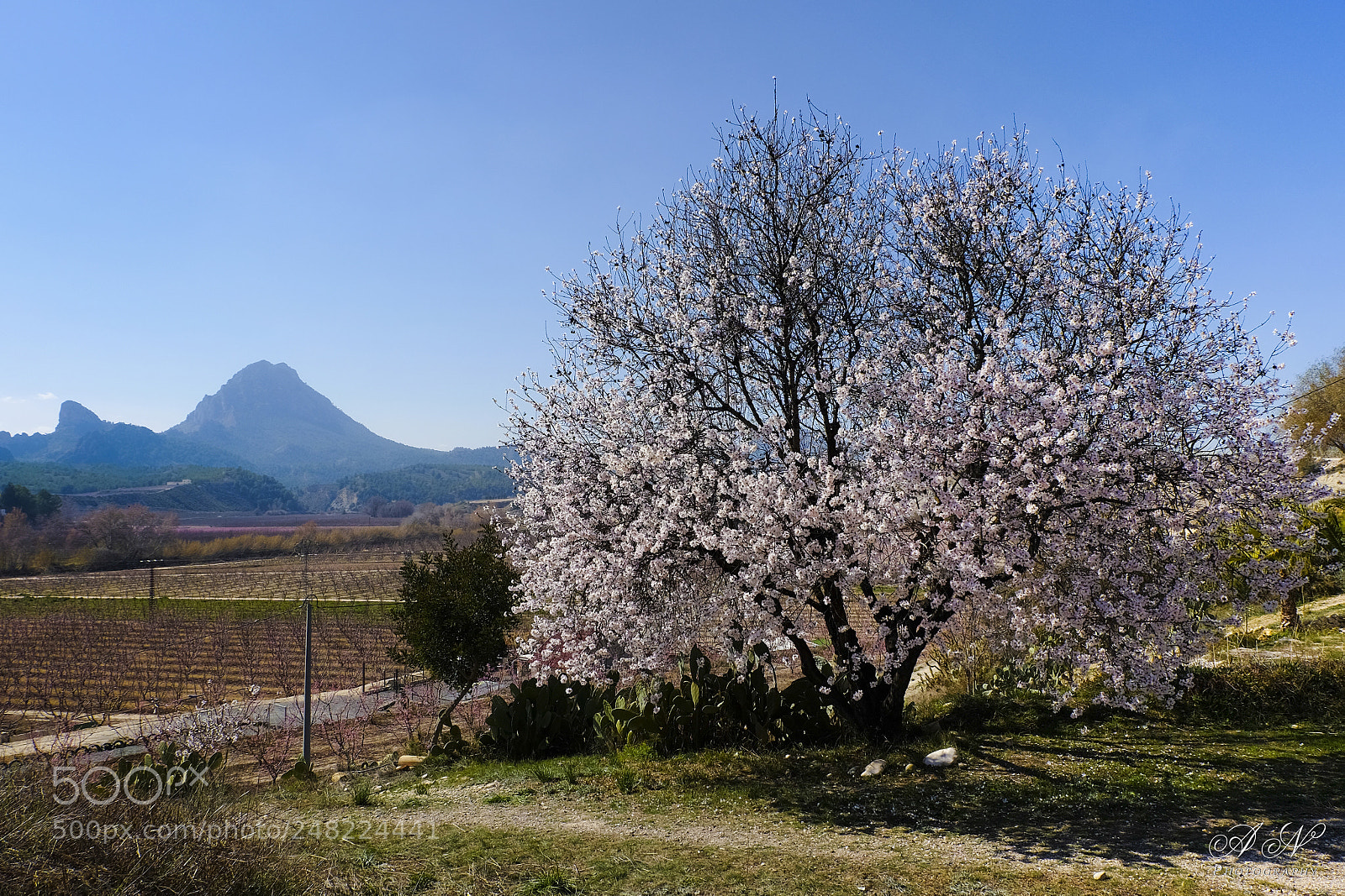 Fujifilm X-T10 sample photo. Untitled photography