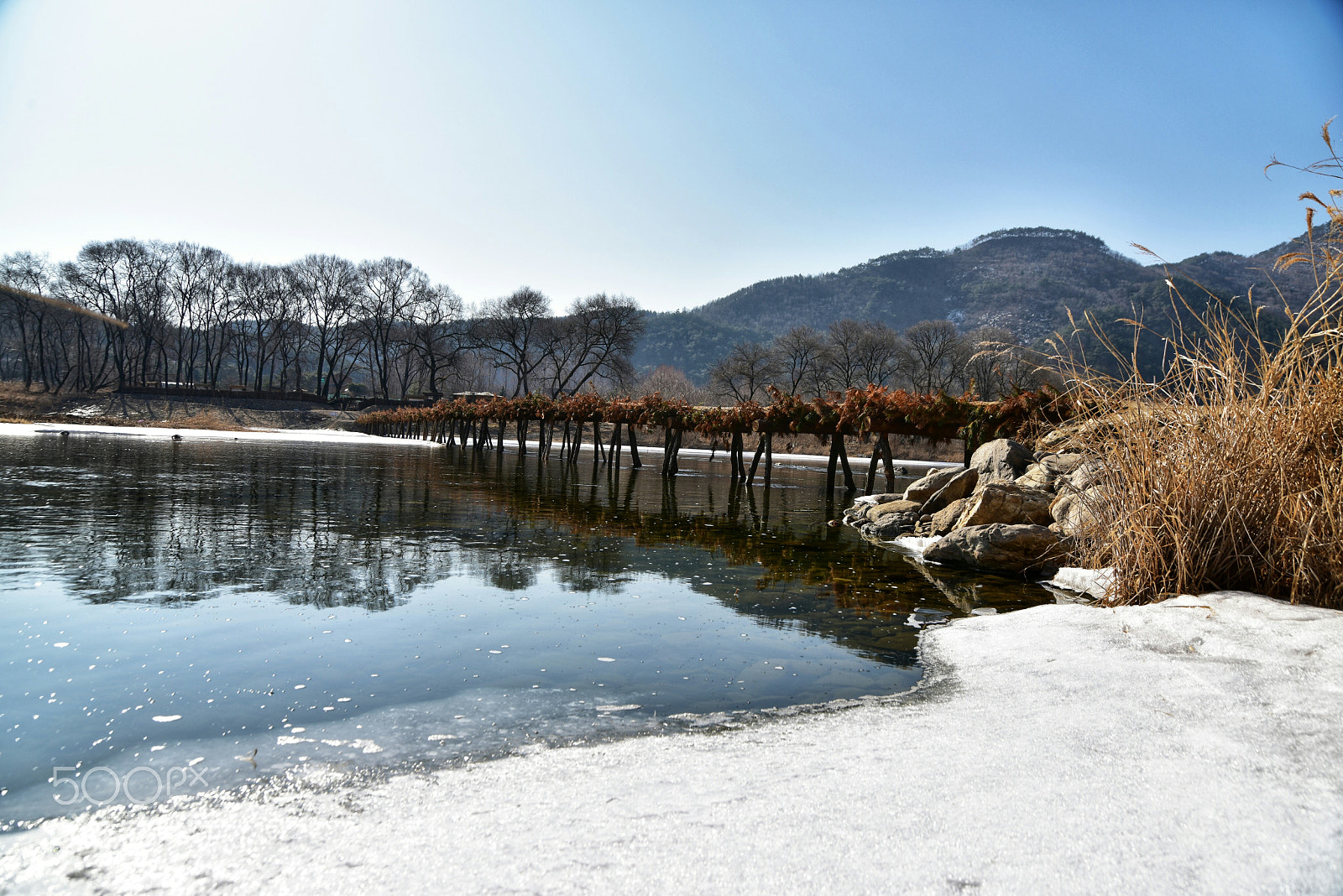 Nikon D810 sample photo. Untitled photography