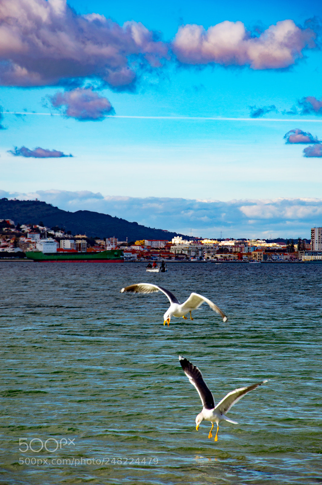 Nikon D3200 sample photo. Sado photography