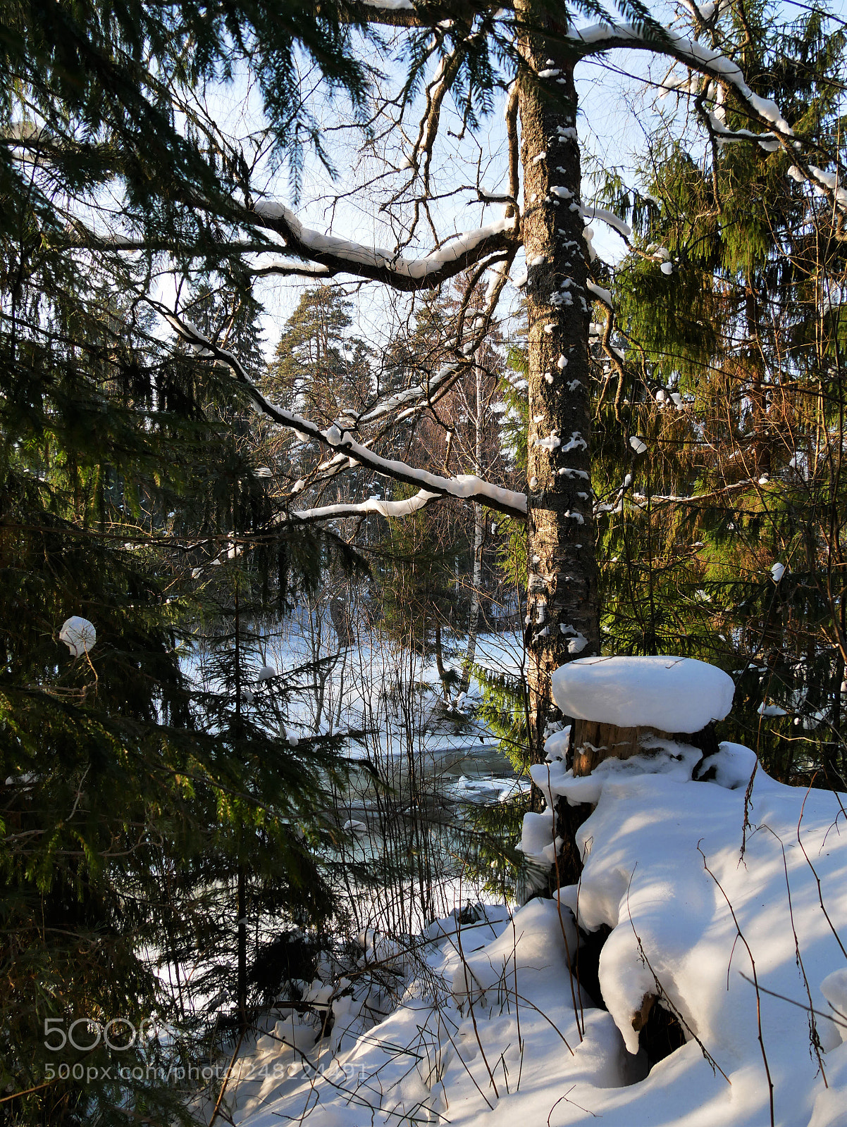 Panasonic Lumix DMC-G85 (Lumix DMC-G80) sample photo. Winter fairytale photography