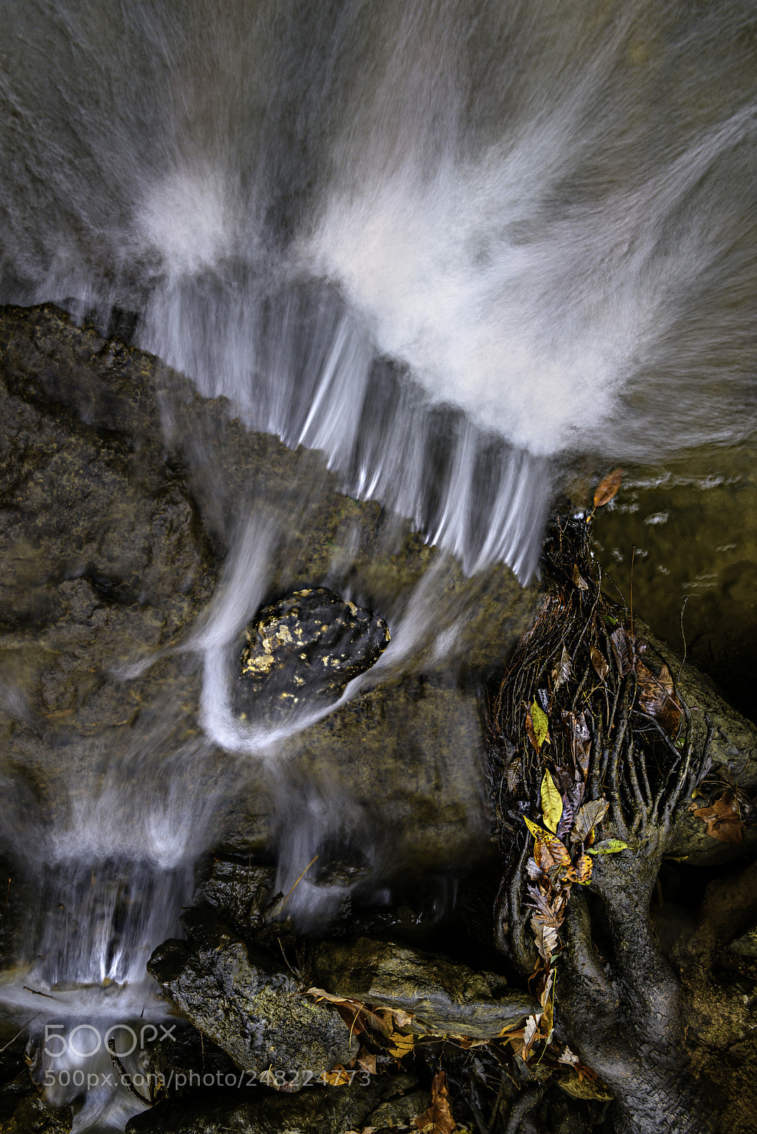 Nikon D810 sample photo. Vs photography