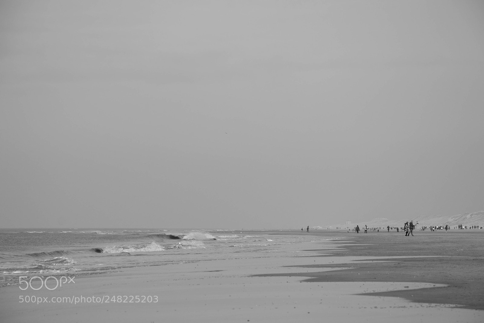 Nikon D3100 sample photo. Beach of the netherlands photography