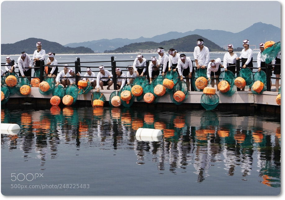 Canon EF 24-70mm F2.8L USM sample photo. Sea maid 해녀 photography