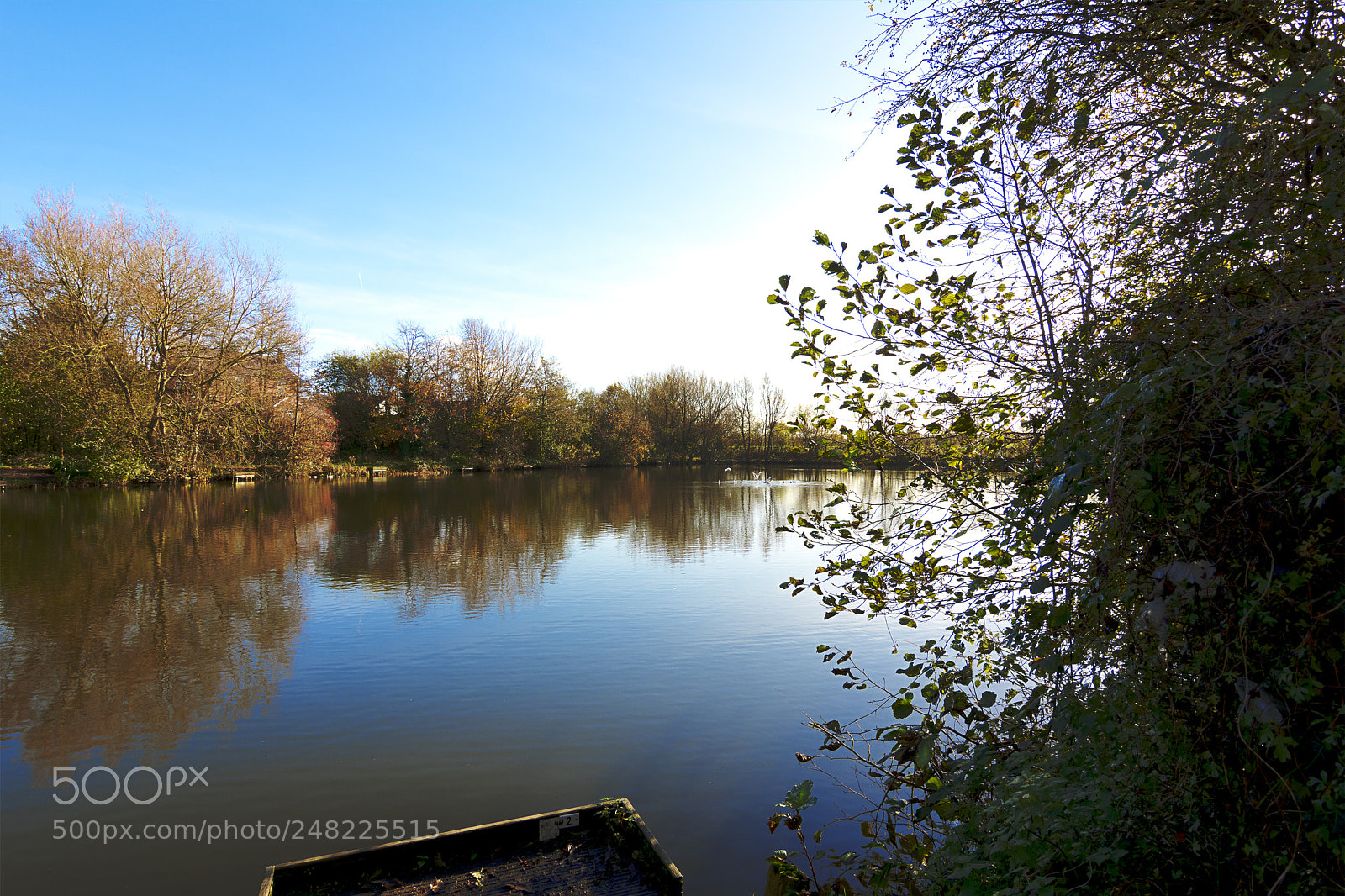 Nikon D7100 sample photo. Idyllic photography