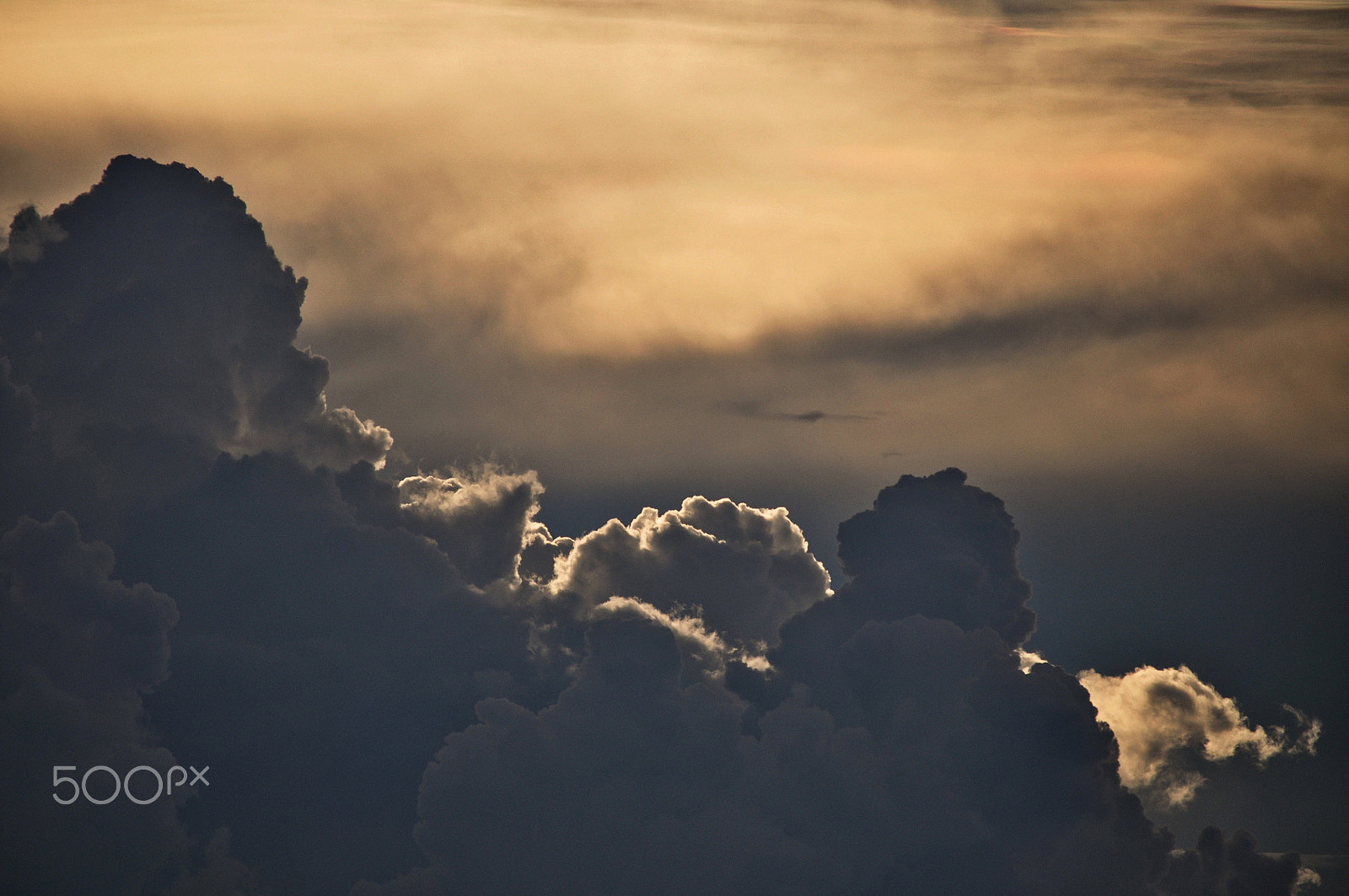 Nikon D5000 sample photo. Flying high photography