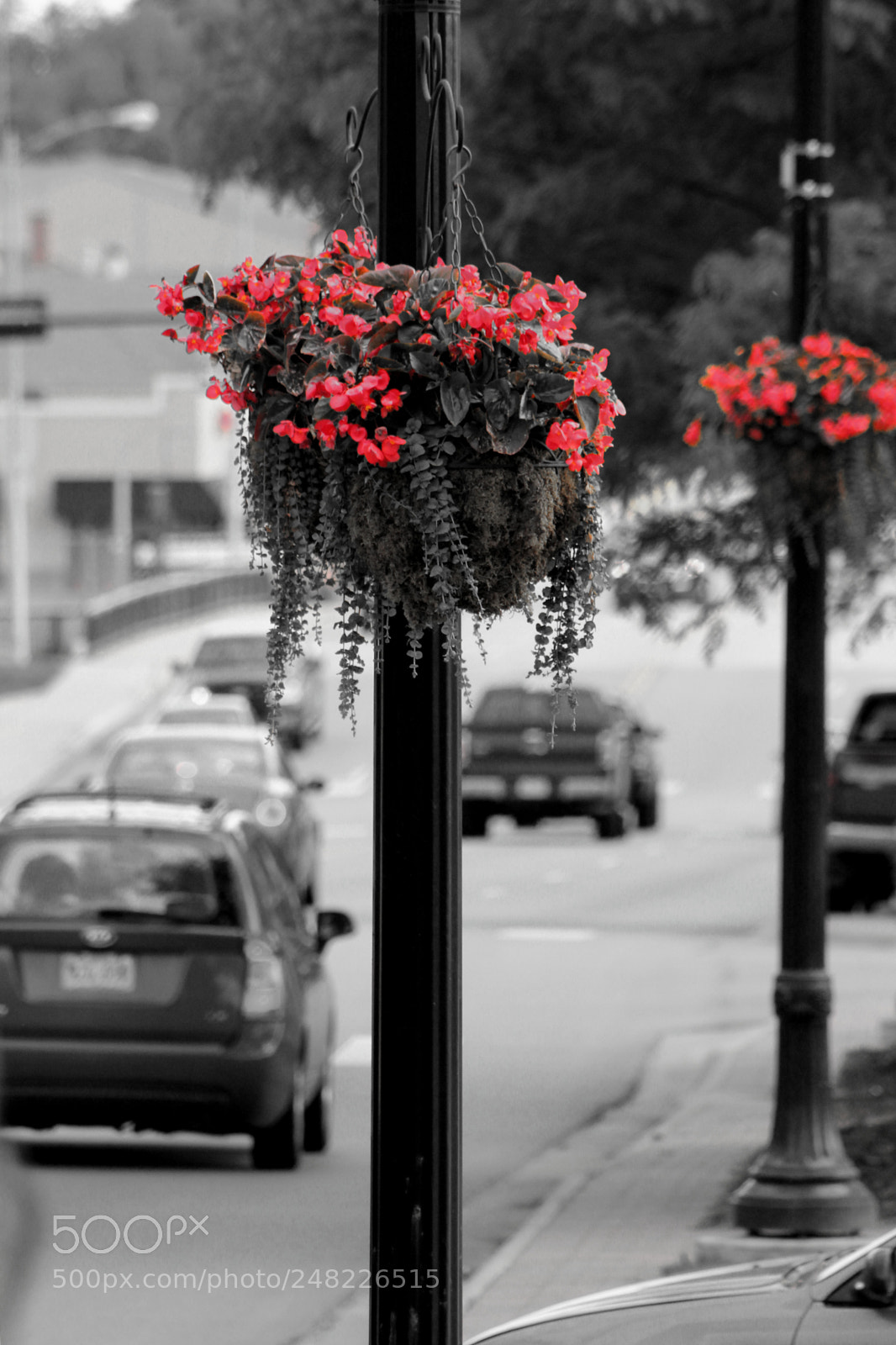 Canon EOS 600D (Rebel EOS T3i / EOS Kiss X5) sample photo. Downtown photography