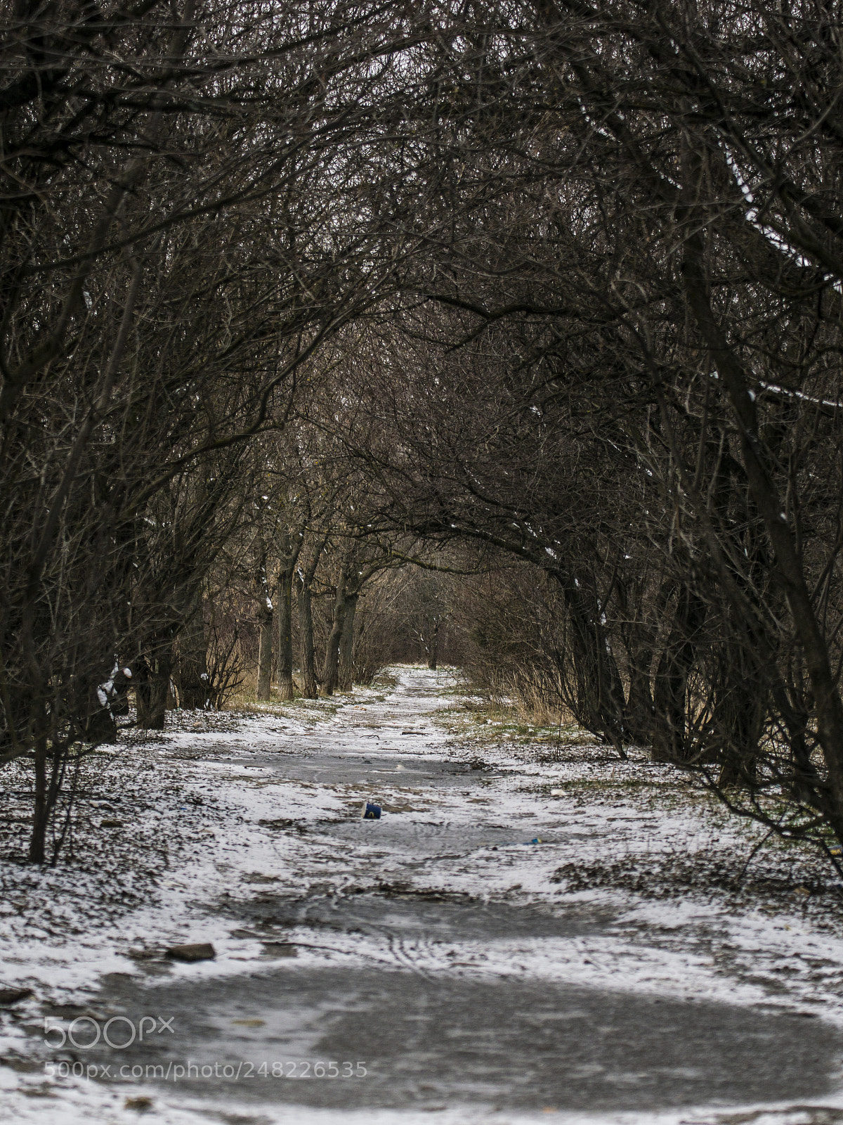 Nikon D5300 sample photo. Endless photography