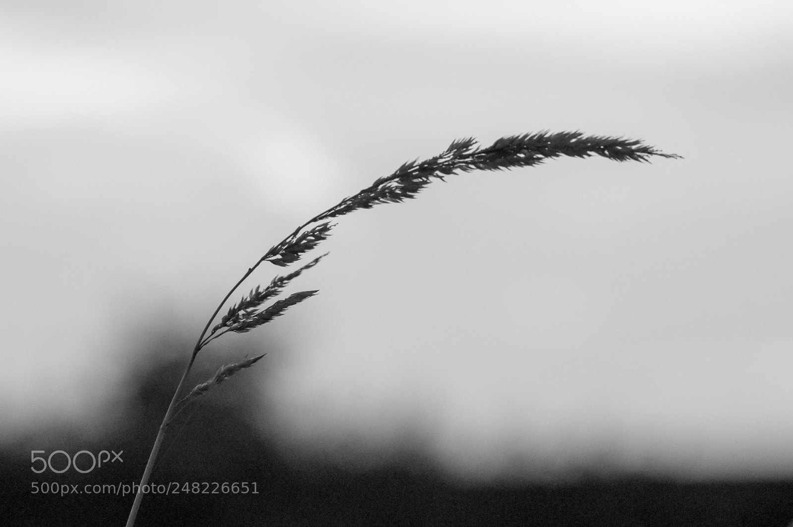 Nikon D90 sample photo. Dusk photography