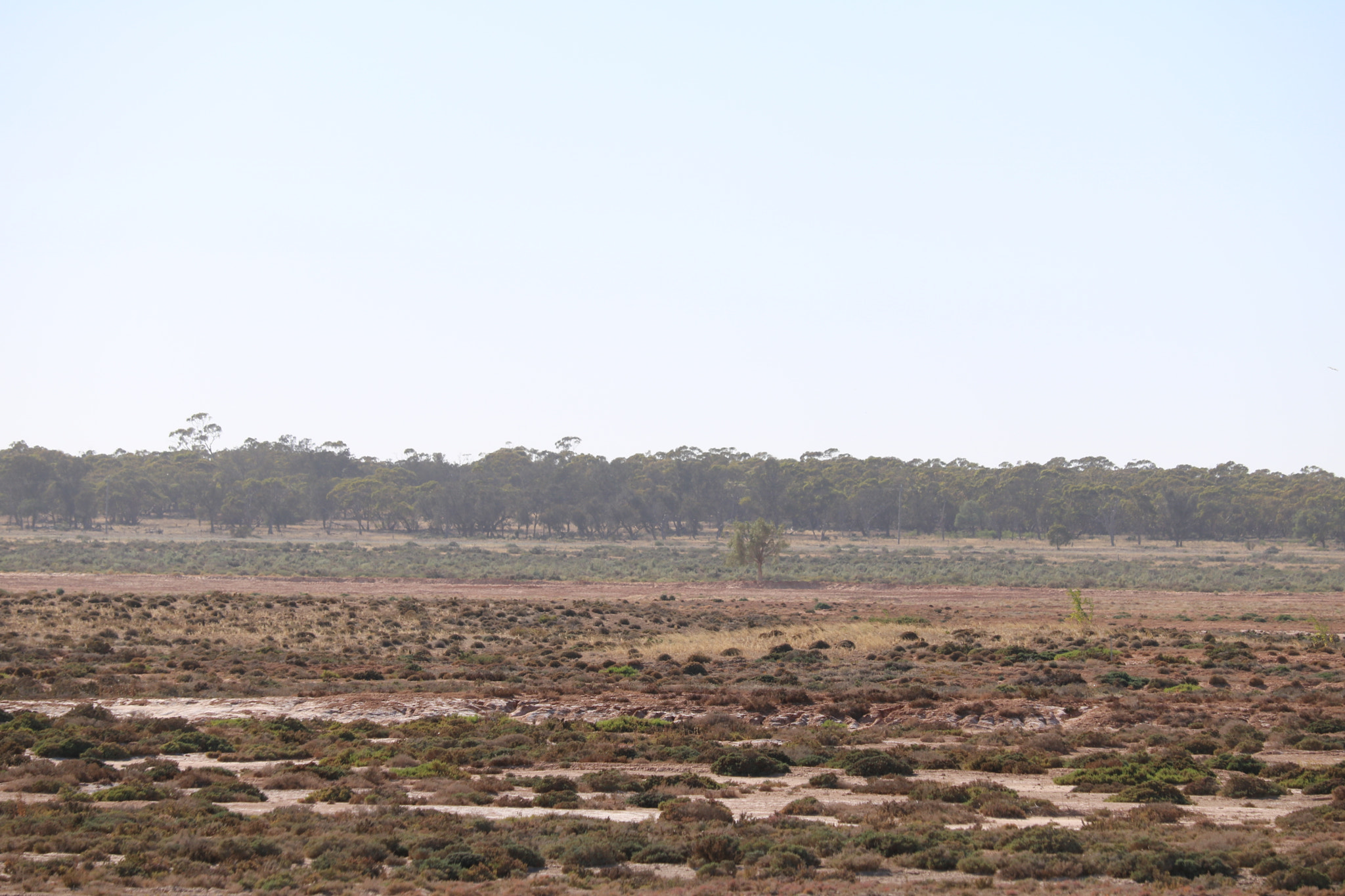 Canon EOS 750D (EOS Rebel T6i / EOS Kiss X8i) + Canon EF-S 55-250mm F4-5.6 IS STM sample photo. Wide open spaces balranald nsw photography