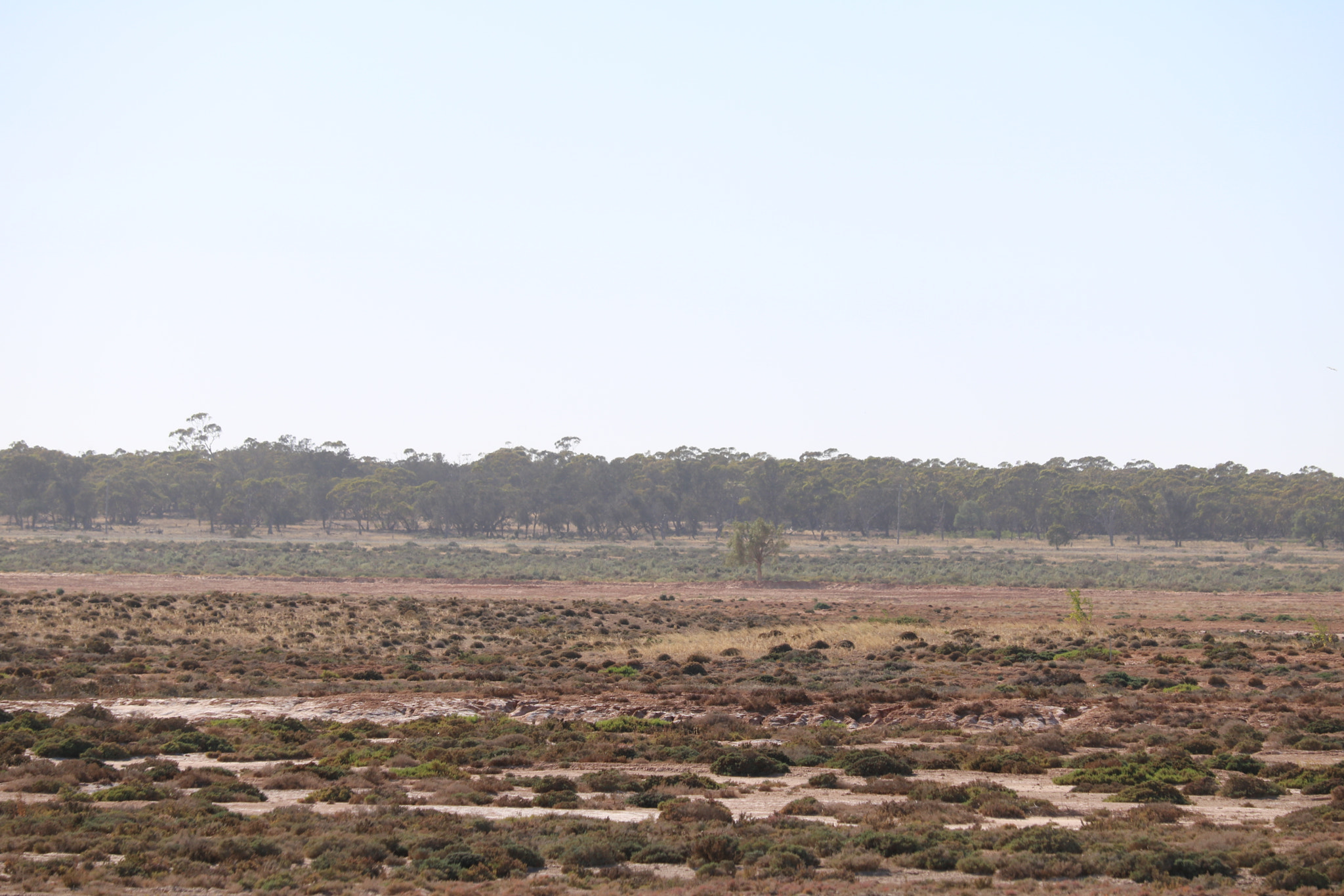 Canon EF-S 55-250mm F4-5.6 IS STM sample photo. Wide open spaces balranald nsw photography