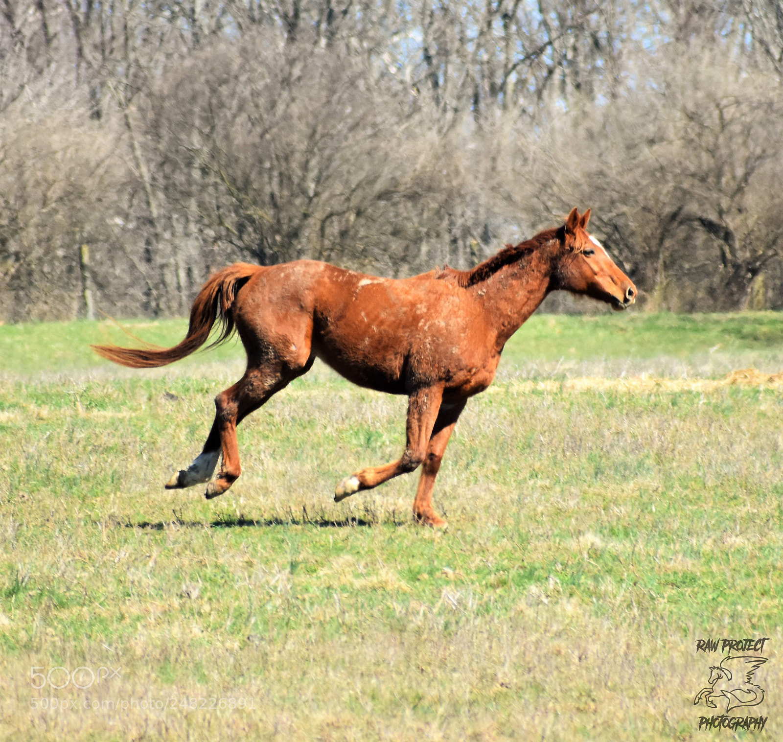 Nikon D3400 sample photo. Dsc photography
