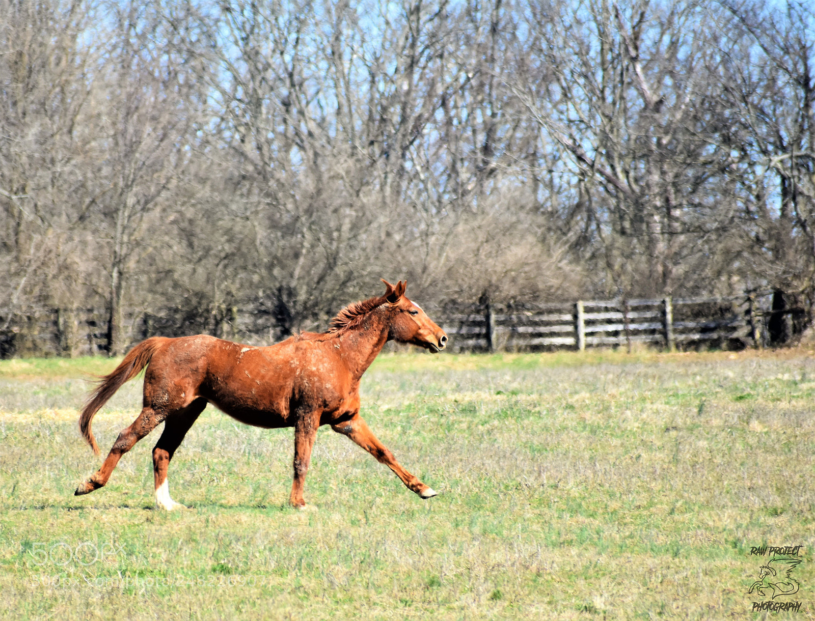 Nikon D3400 sample photo. Dsc photography