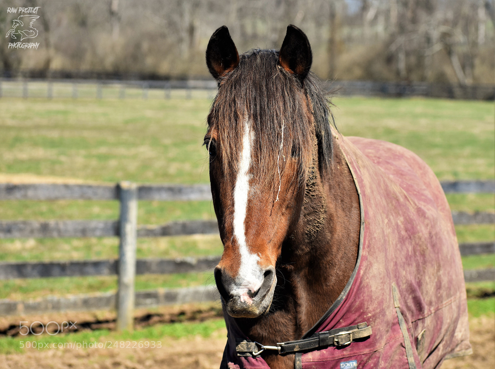 Nikon D3400 sample photo. Dsc photography