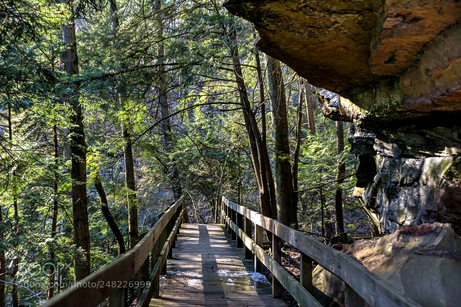 Nikon D7100 sample photo. Mill creek state park photography