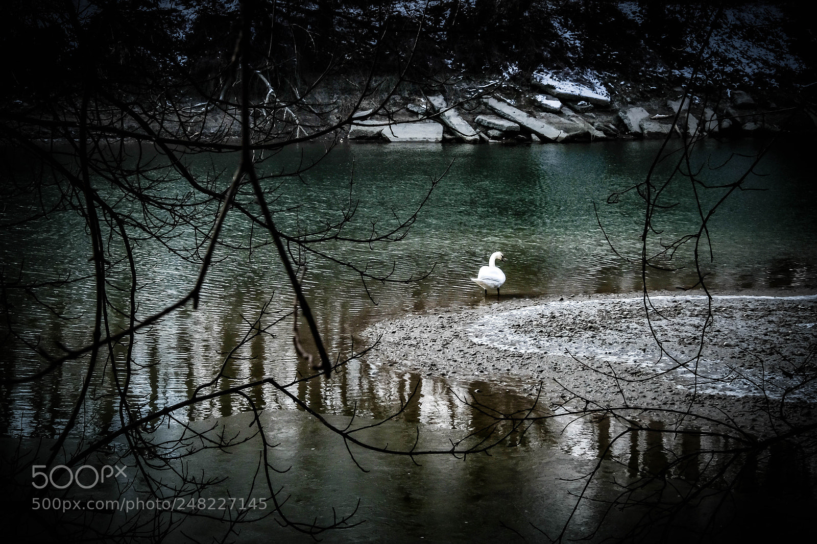 Fujifilm X-T1 sample photo. Only photography