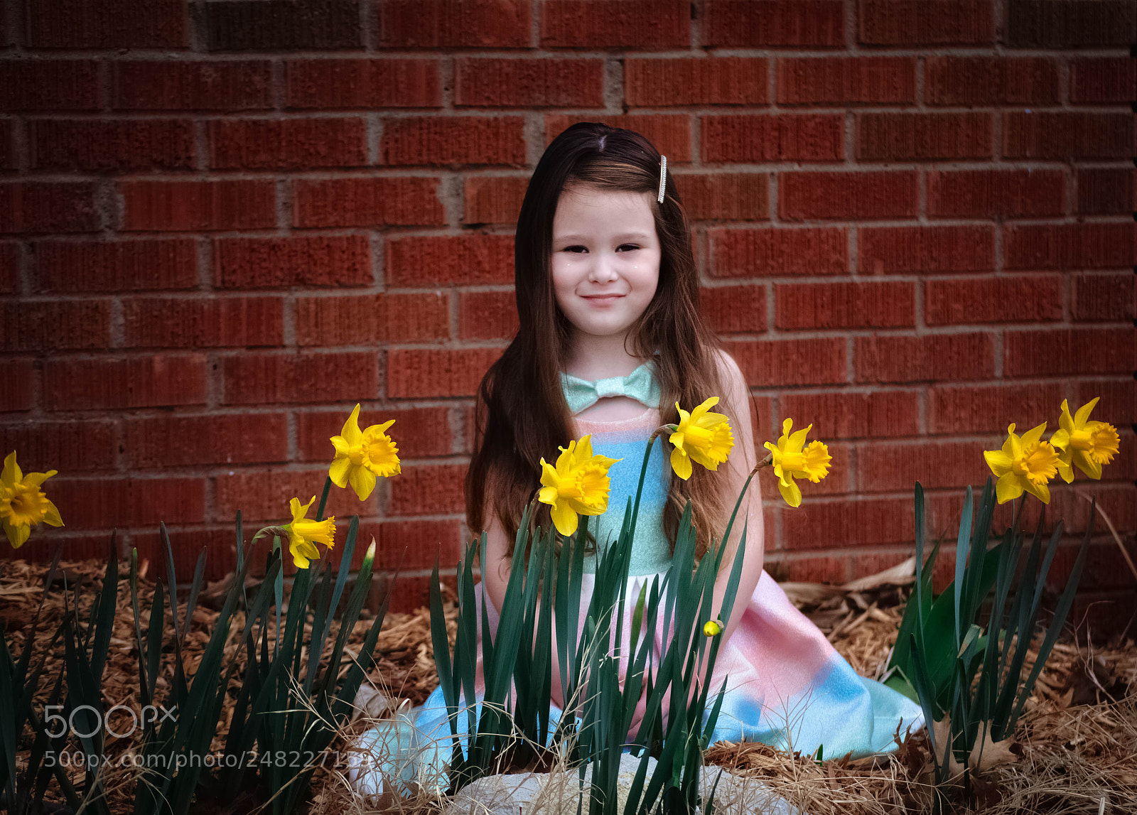 Nikon D5100 sample photo. Waiting for spring photography