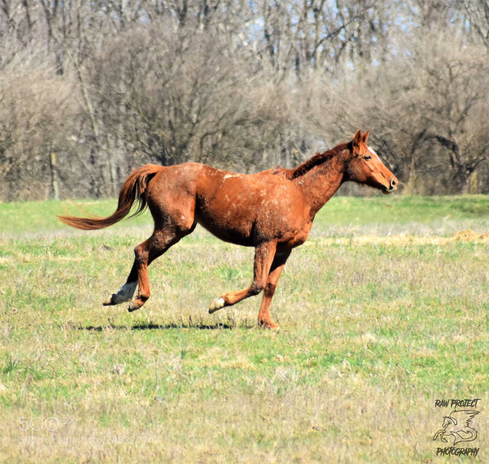 Nikon D3400 sample photo. Dsc photography