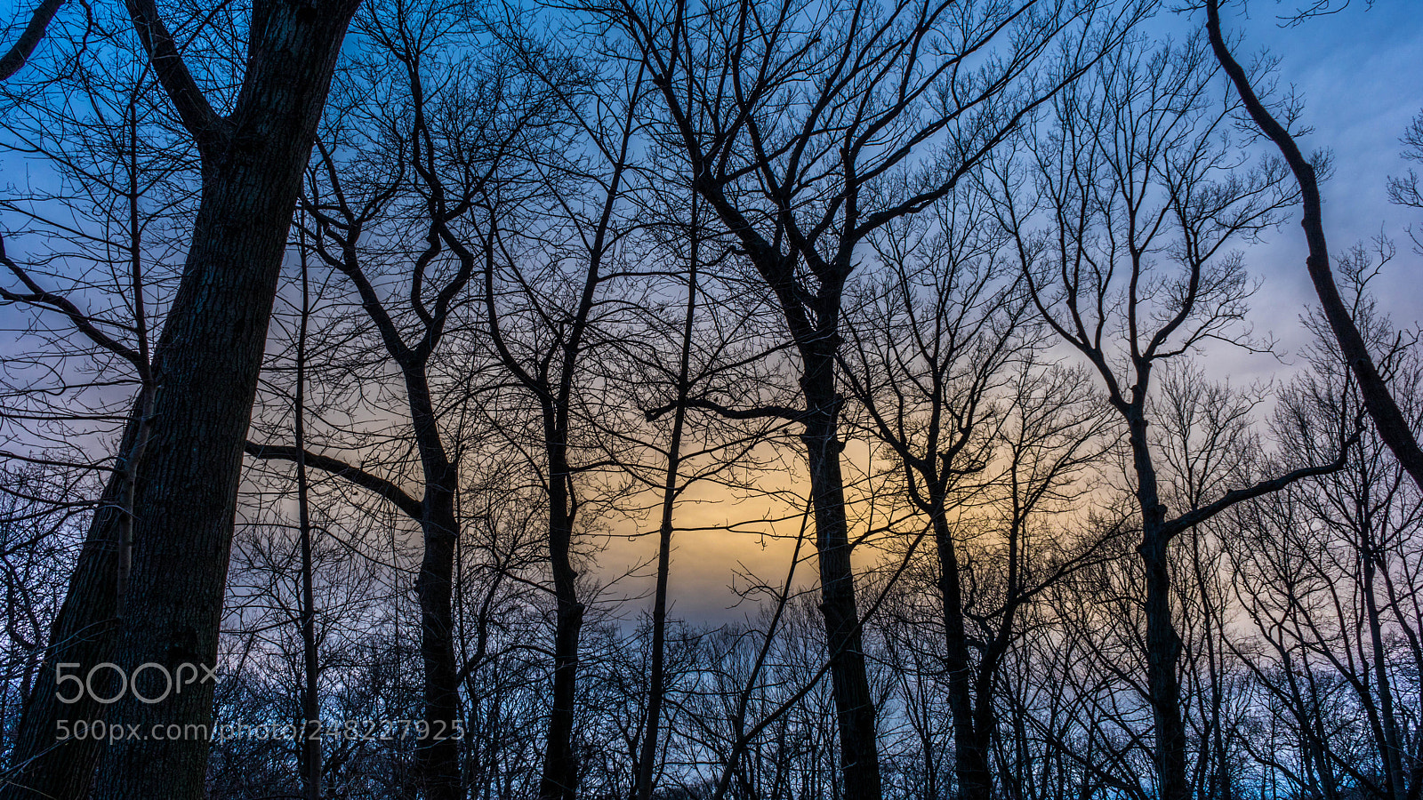 Sony a7 II sample photo. Color fun. photography