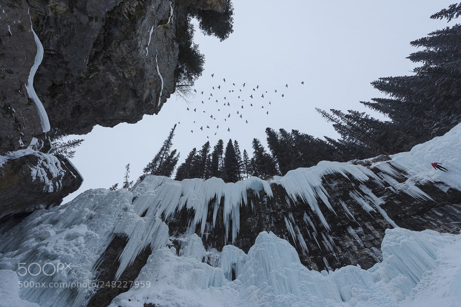 Nikon D810 sample photo. Johnston canyon icescape photography