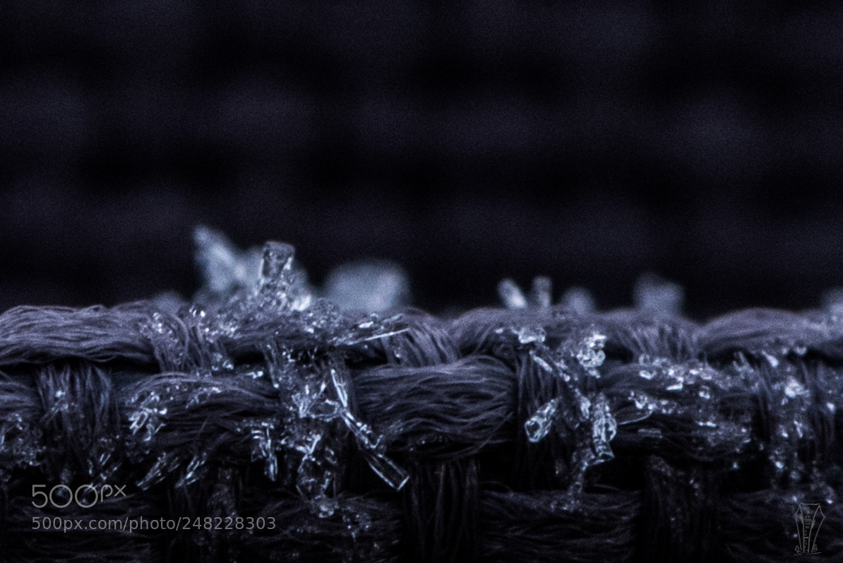 Nikon D810 sample photo. Frozen cloth photography