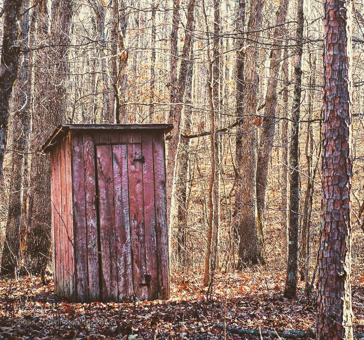 Olympus OM-D E-M10 II sample photo. Outhouse photography