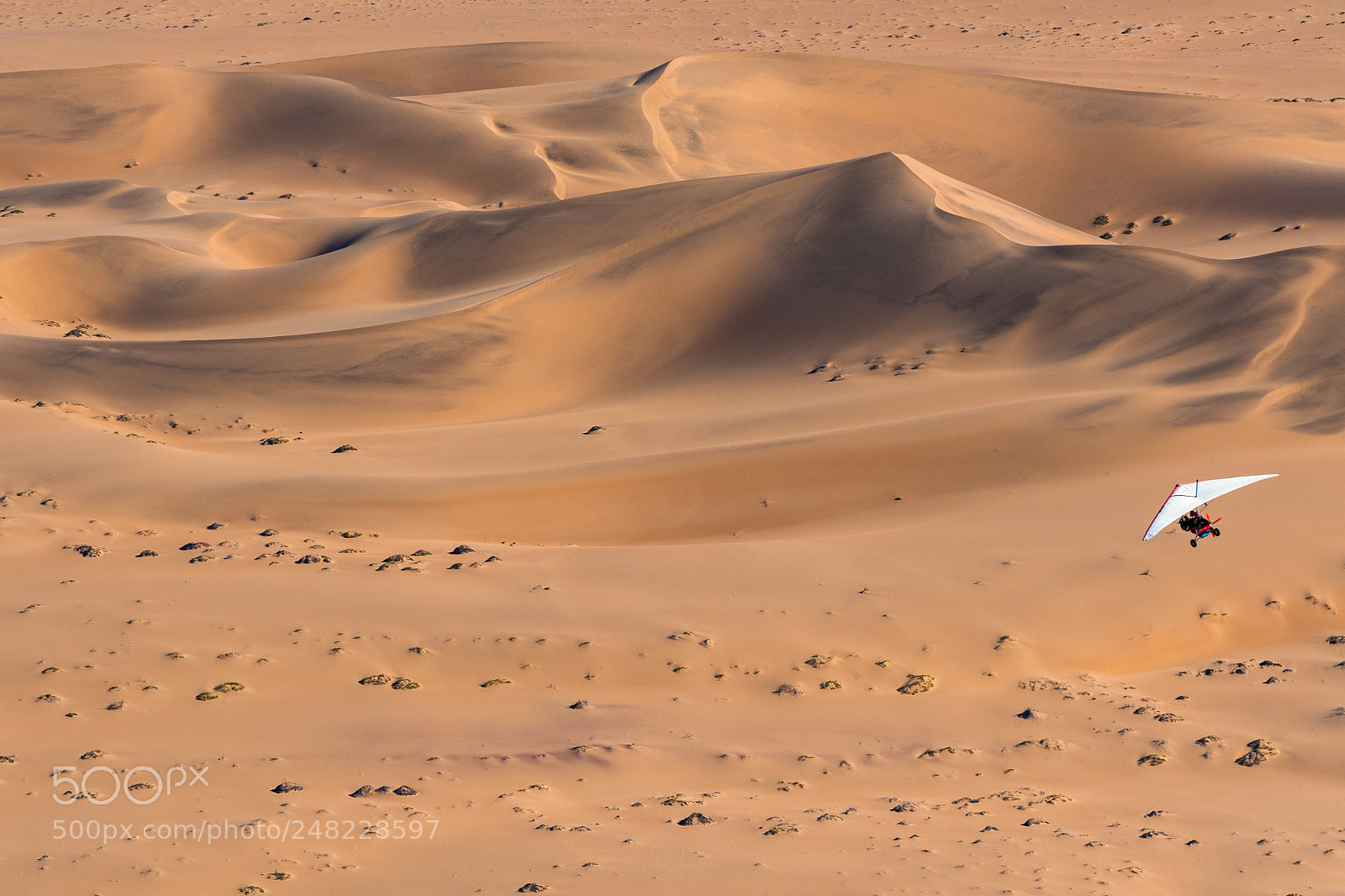 Nikon D500 sample photo. Flying in a microlight photography