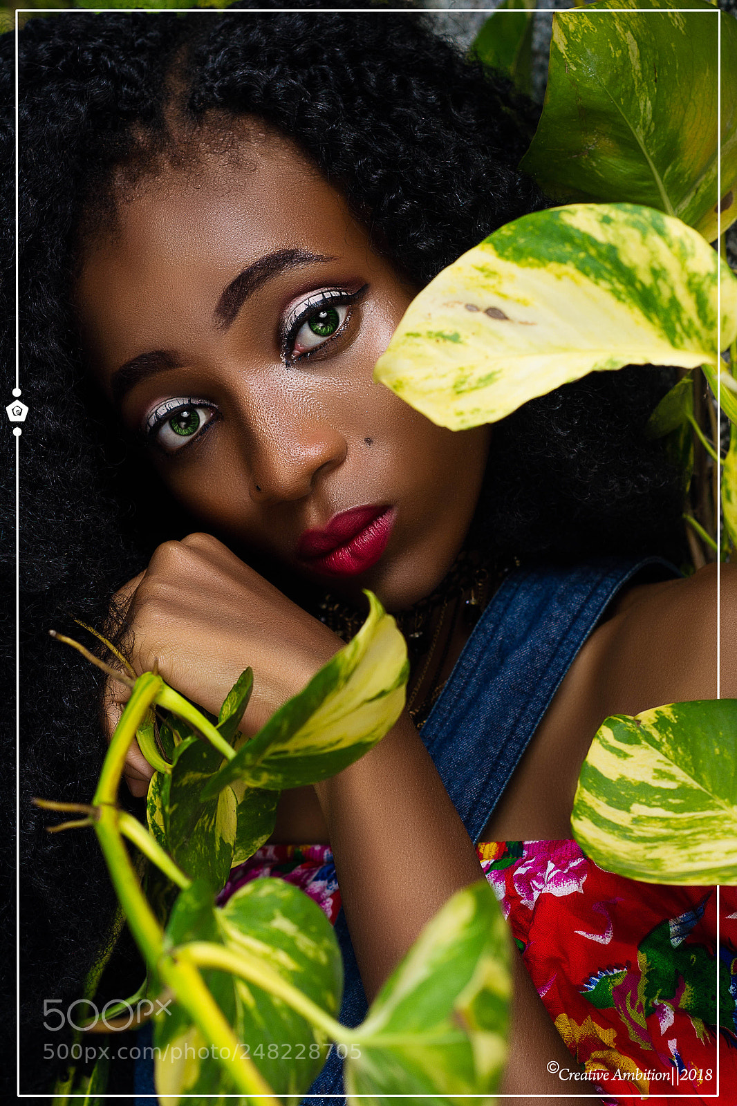 Nikon D3100 sample photo. Out of the greens photography