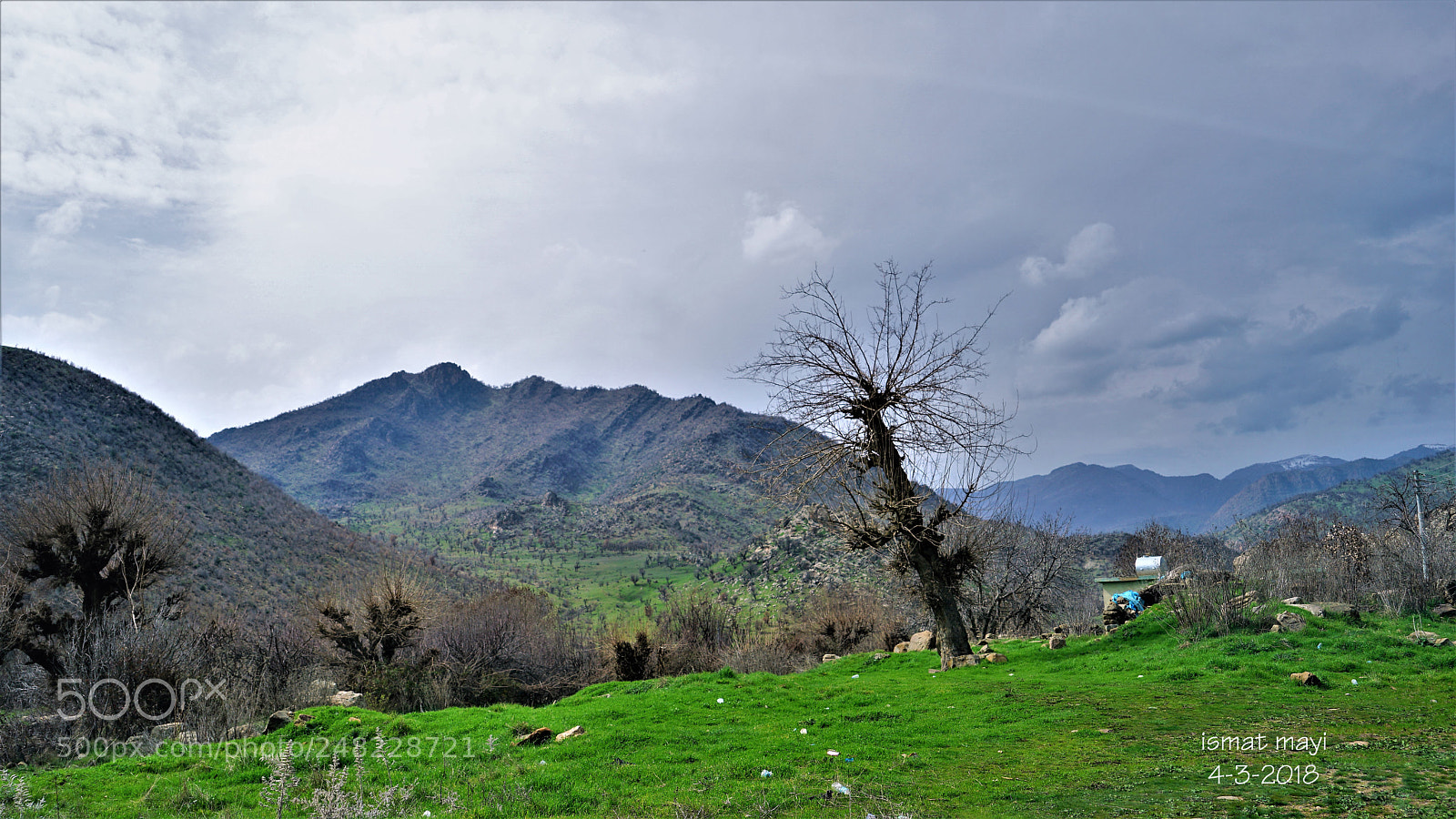 Sony a7 II sample photo. 3.jpg photography