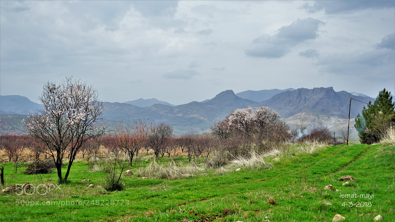 Sony a7 II sample photo. 13.jpg photography