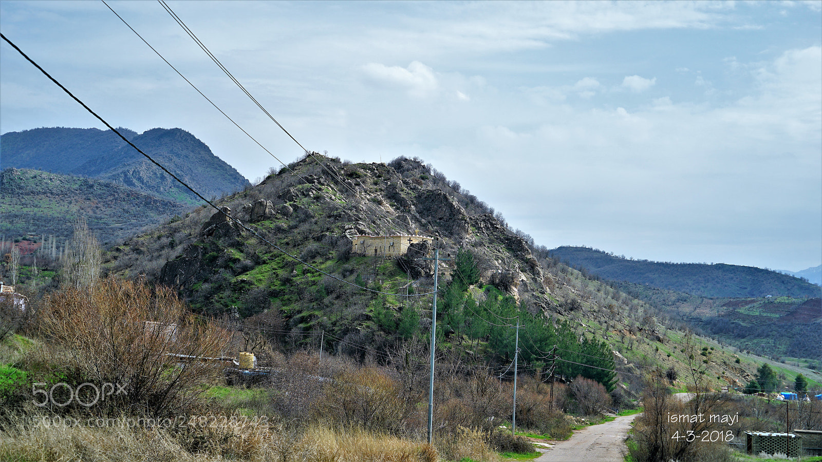 Sony a7 II sample photo. 4.jpg photography