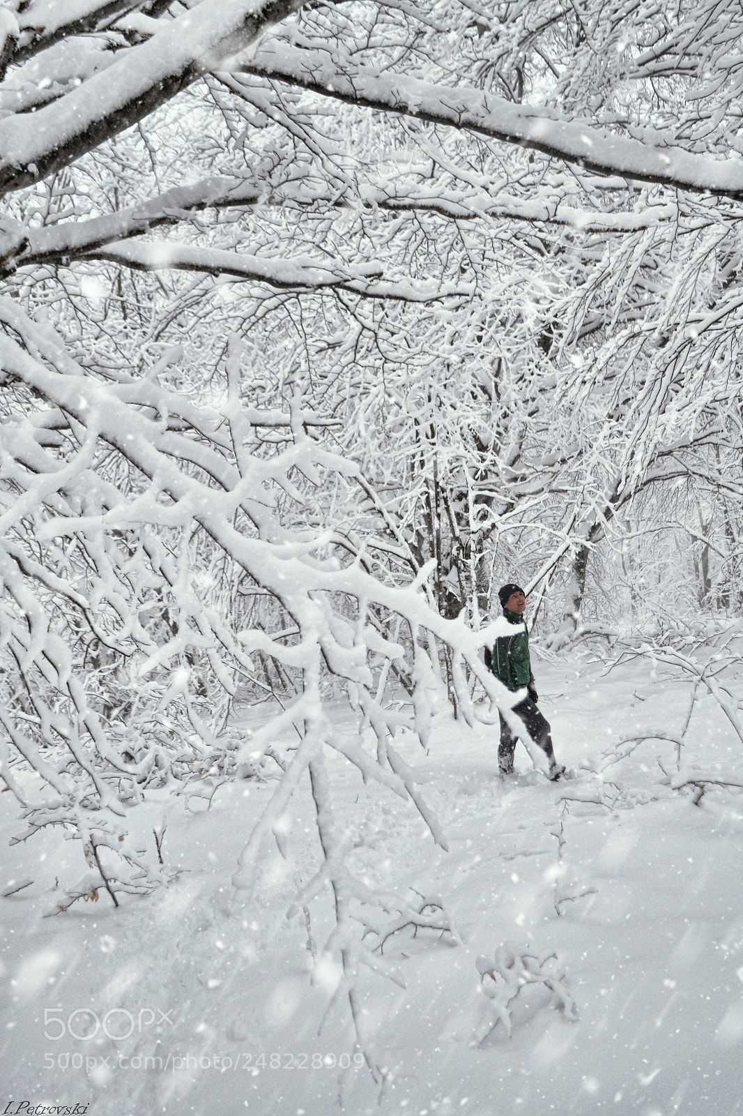 Nikon D3100 sample photo. Lost in the snow photography