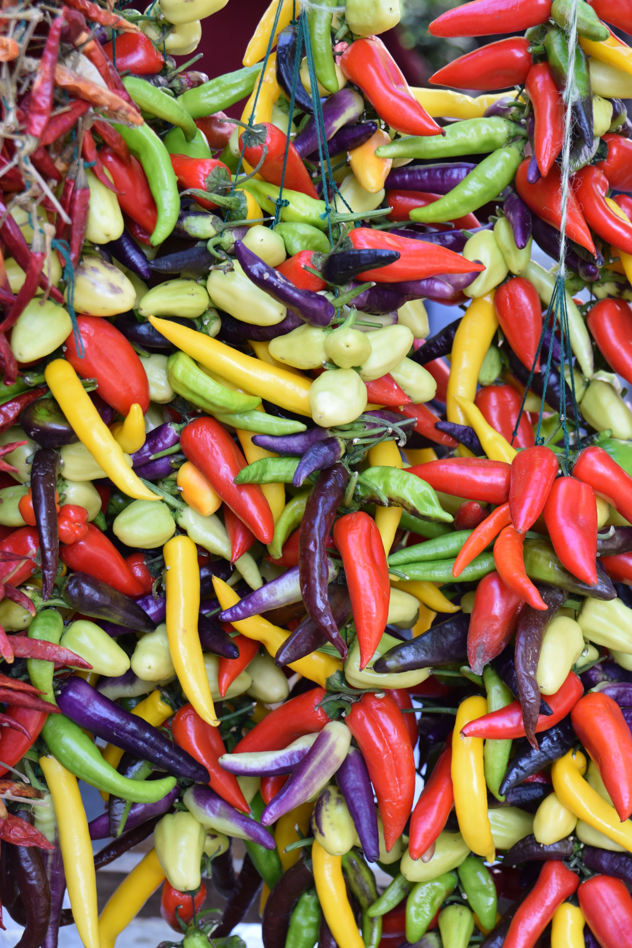 Nikon D5300 sample photo. Piments au marcher de soller photography