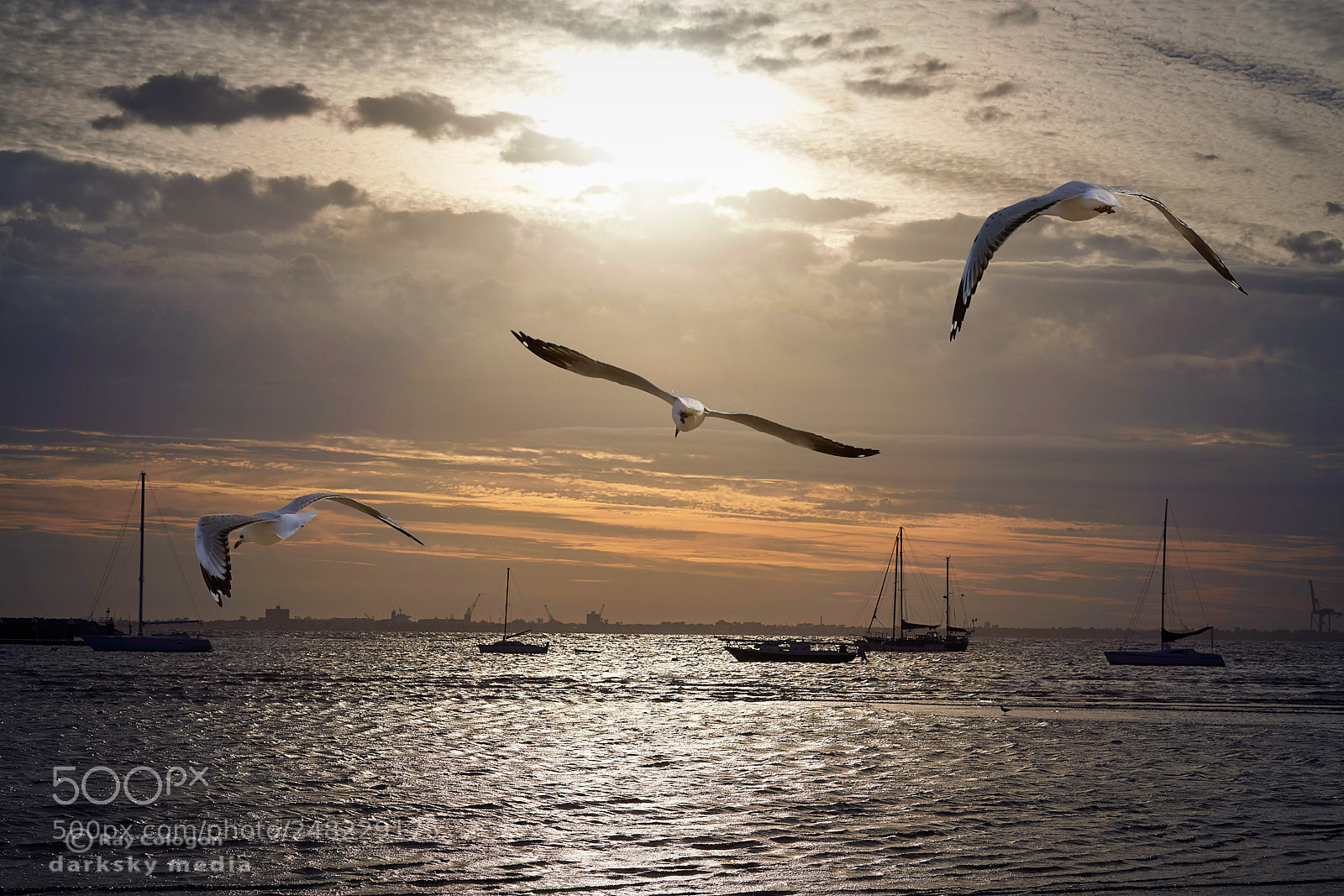 Sony a7R III sample photo. Sundown trio photography