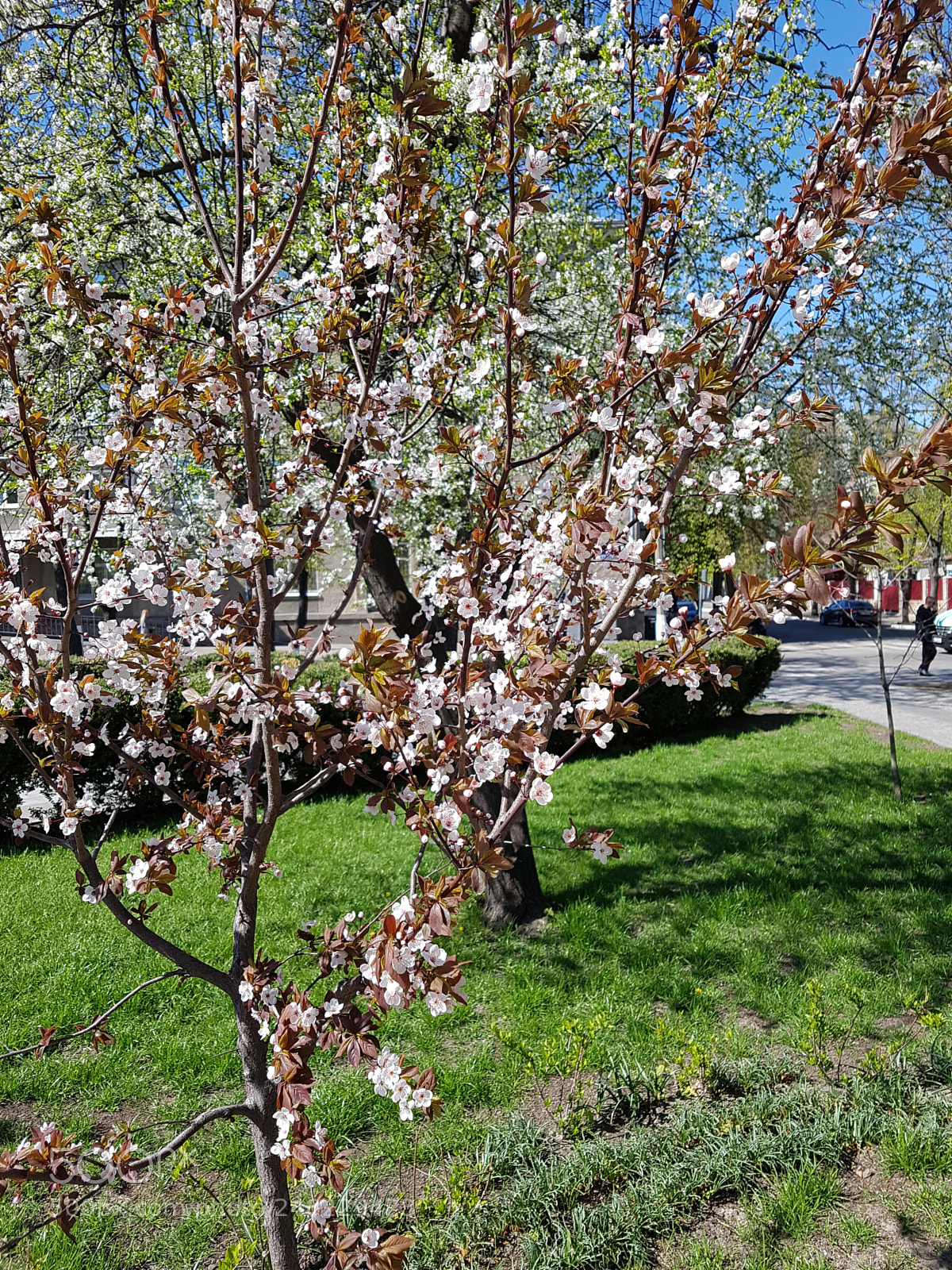 Samsung Galaxy S7 sample photo. Untitled photography