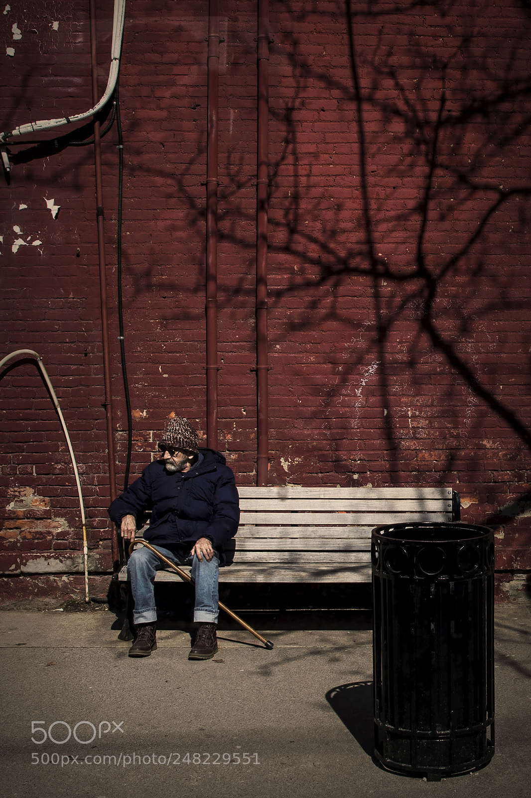 Nikon D500 sample photo. Waiting on a bench photography