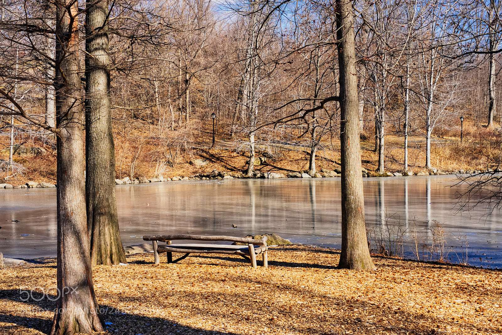 Sony a7 II sample photo. Frozen lake of central photography