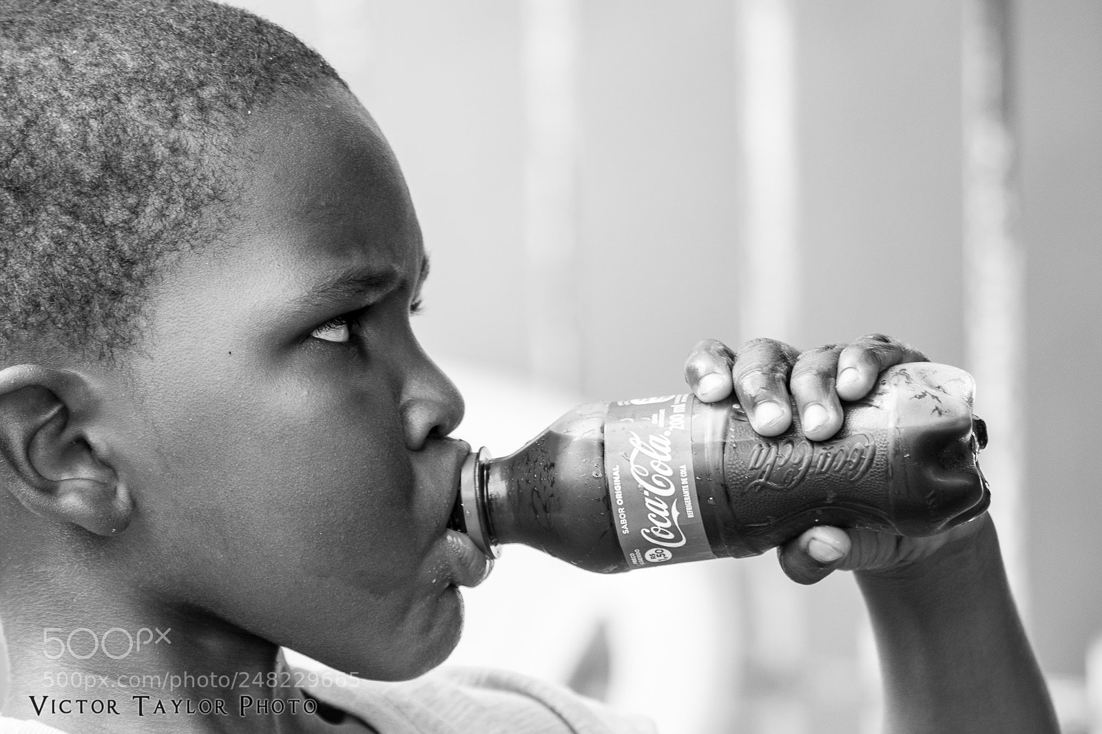 Nikon D7100 sample photo. Thirsty... photography