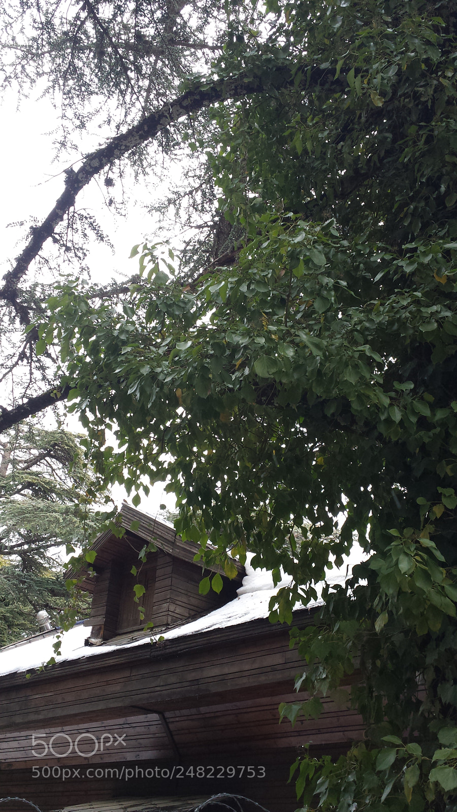 Samsung Galaxy S4 sample photo. La maison de la photography
