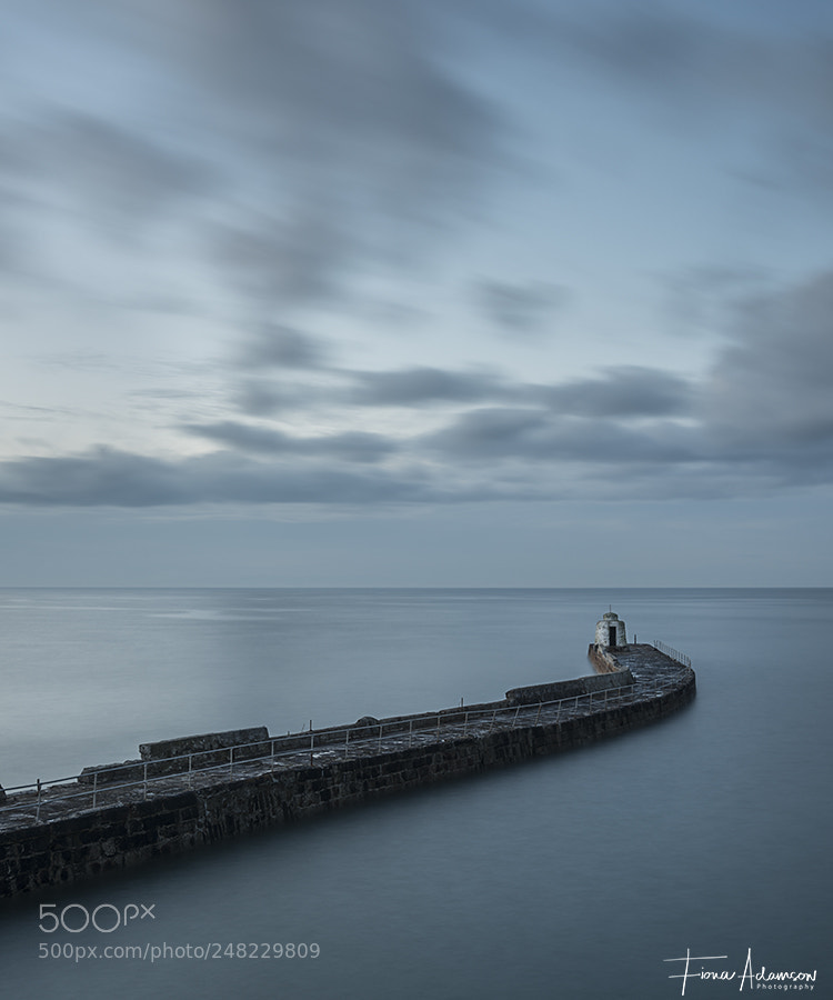 Nikon D810 sample photo. Portreath photography