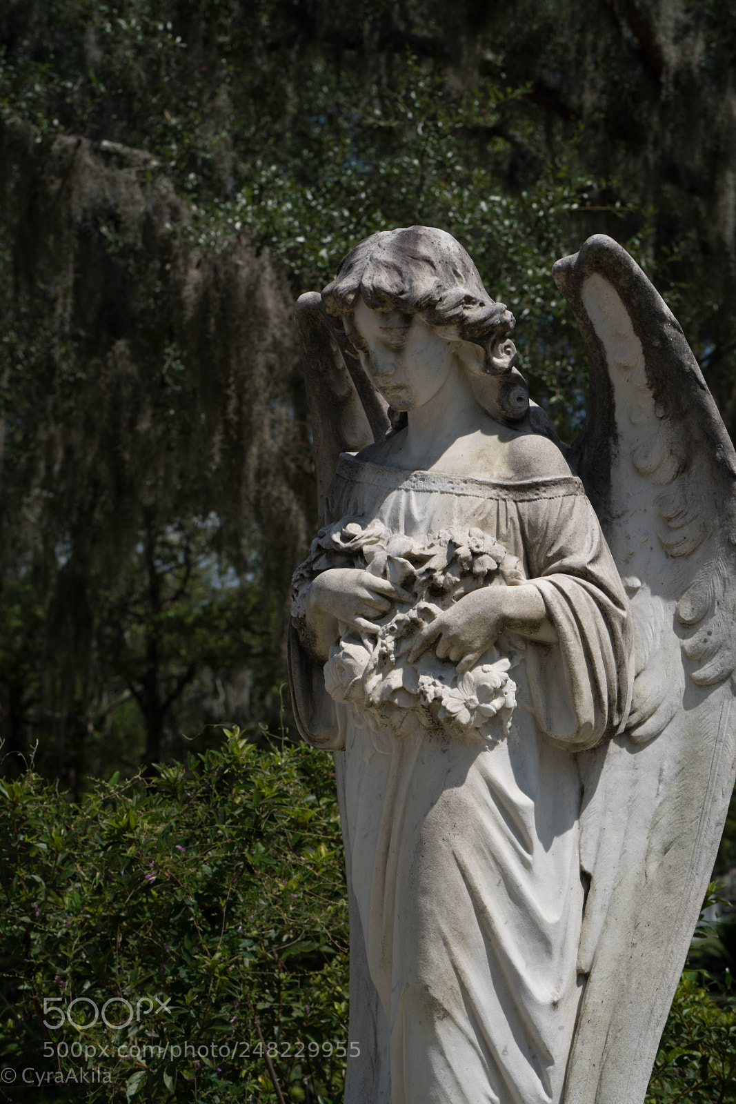 Sony a7R II sample photo. Bonaventure cemetery photography