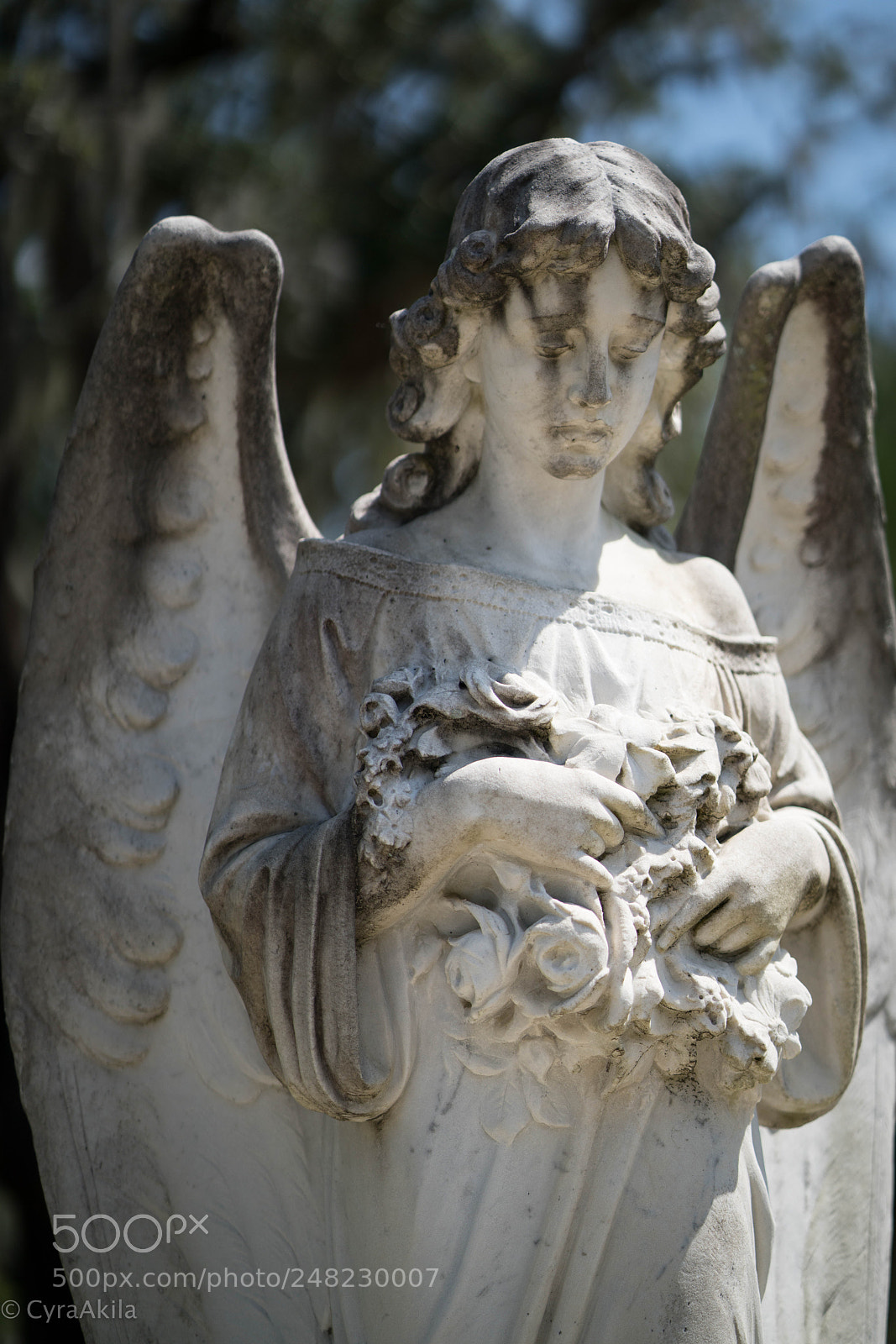 Sony a7R II sample photo. Bonaventure cemetery photography