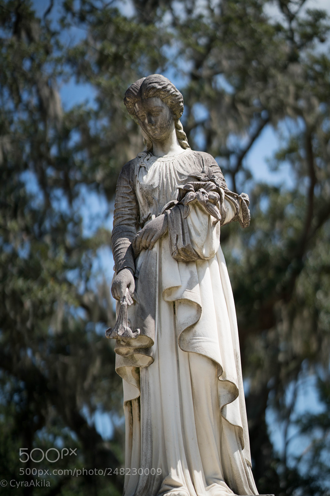 Sony a7R II sample photo. Bonaventure cemetery photography