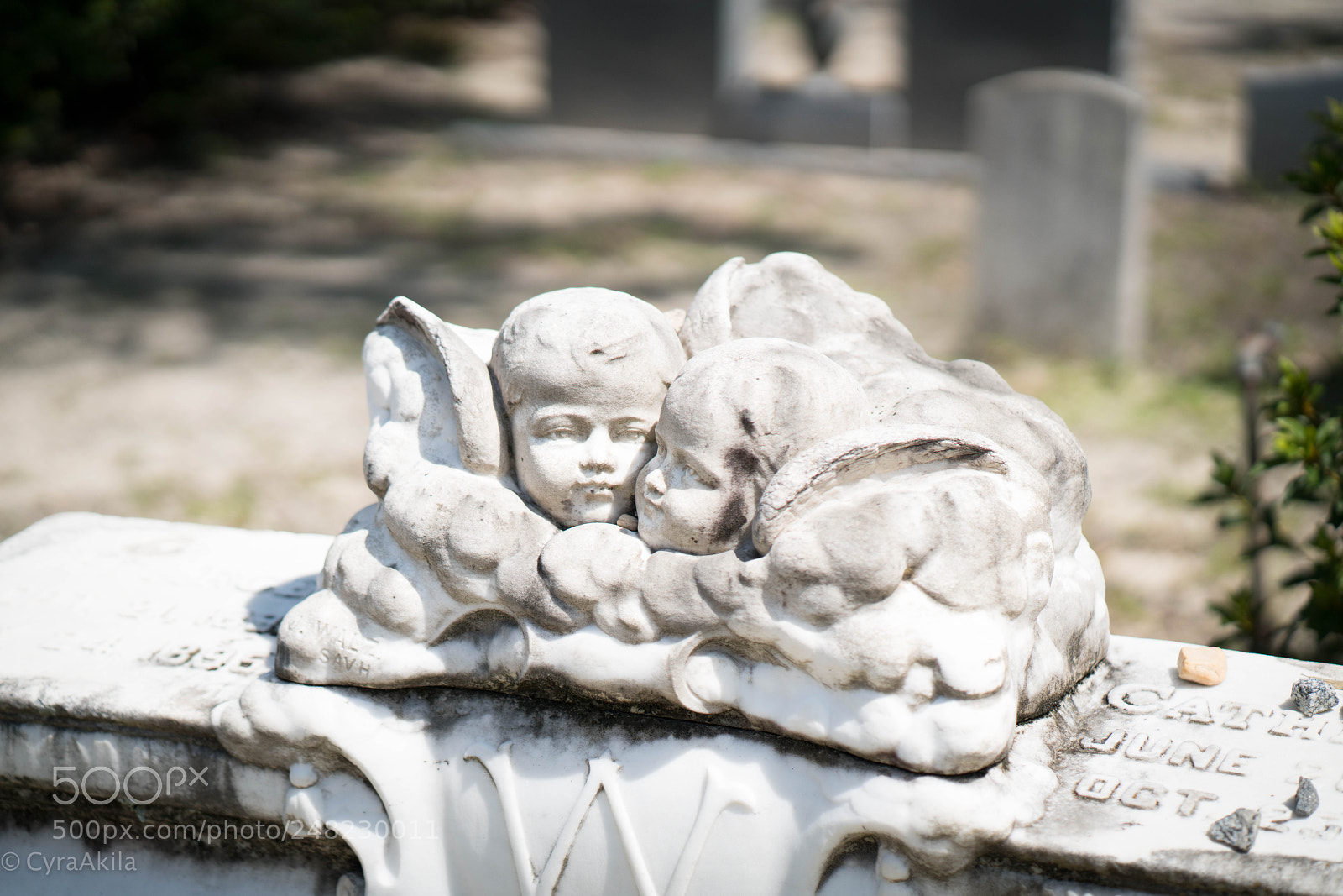 Sony a7R II sample photo. Bonaventure cemetery photography