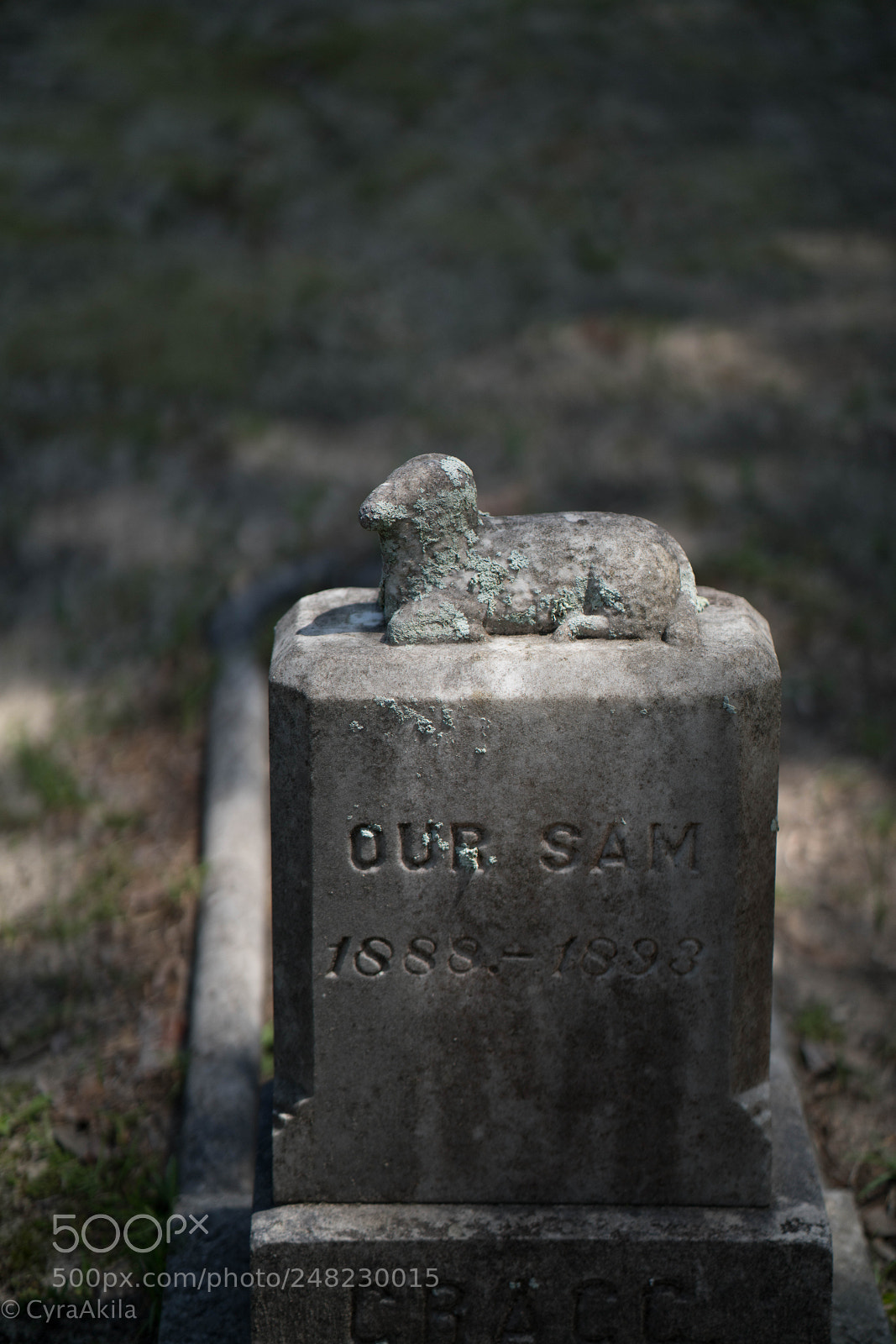 Sony a7R II sample photo. Bonaventure cemetery photography