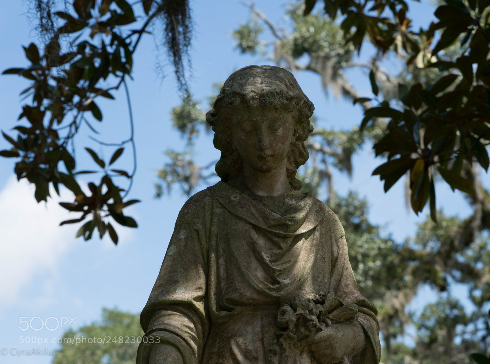 Sony a7R II sample photo. Bonaventure cemetery photography