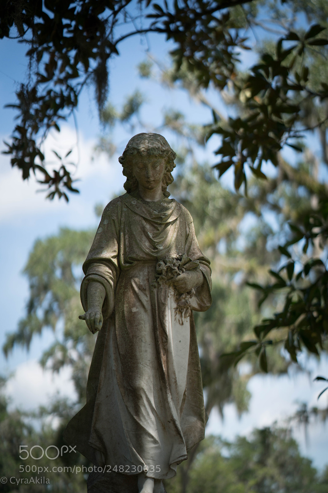 Sony a7R II sample photo. Bonaventure cemetery photography