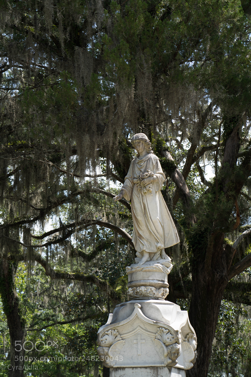Sony a7R II sample photo. Bonaventure cemetery photography