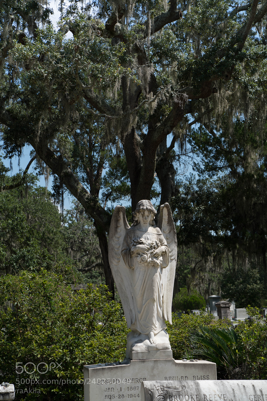 Sony a7R II sample photo. Bonaventure cemetery photography