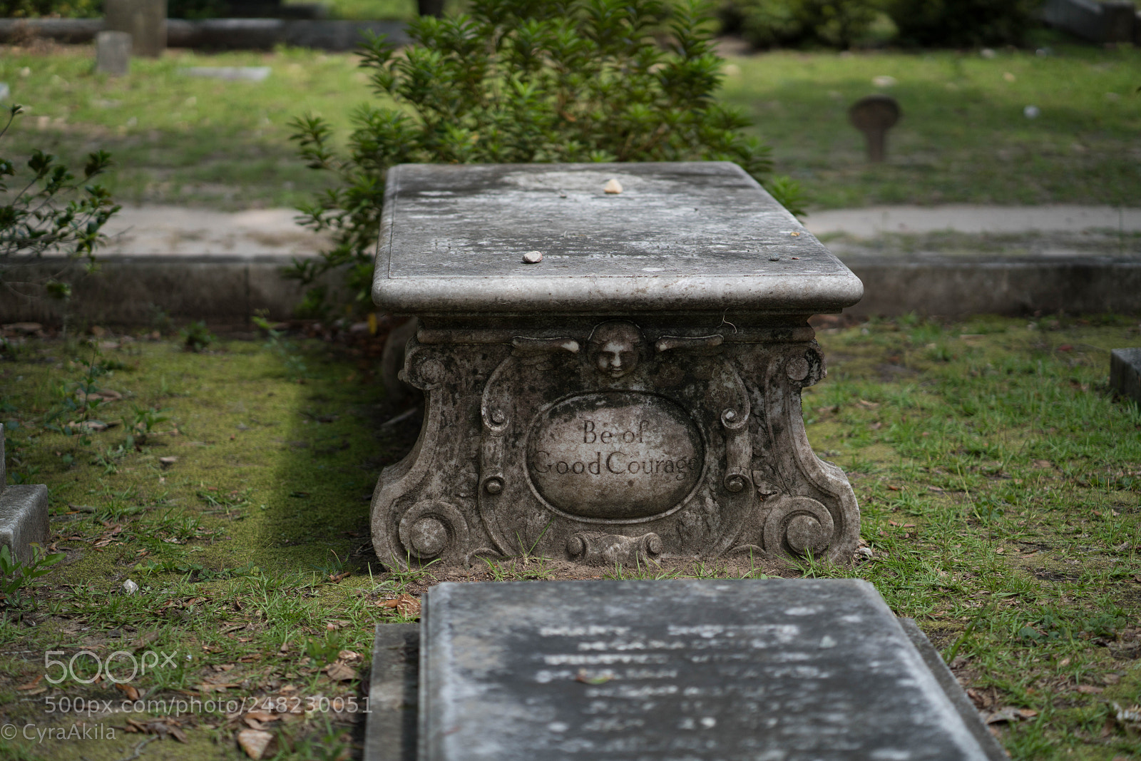 Sony a7R II sample photo. Bonaventure cemetery photography
