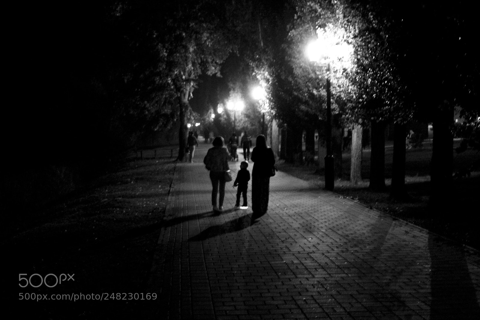 Canon EOS 20D sample photo. Autumn evening in tambov photography
